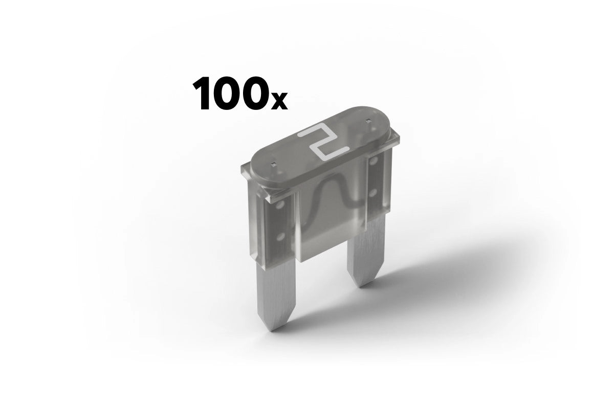 Sicherung 2A für Power Supply & Backup (100Stk.)