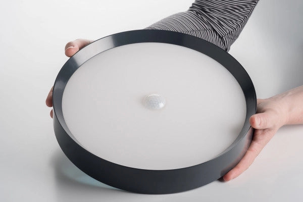 LED Ceiling Light RGBW Tree Anthrazit