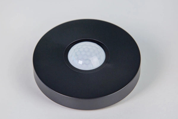 Präsenzmelder Tree Anthrazit