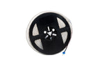 RGBW LED Streifen 5m